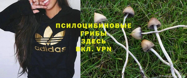 apvp Навашино
