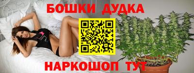 гидропоника Бийск
