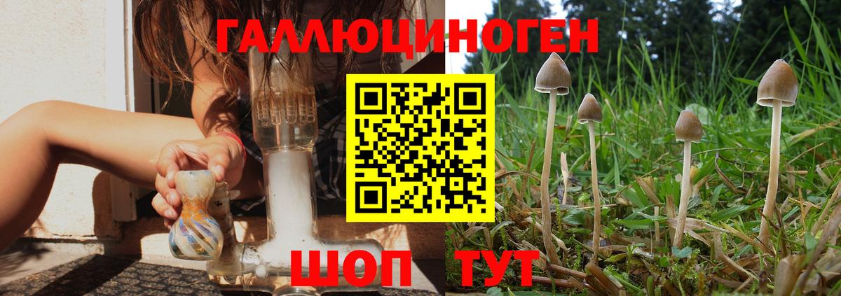 Псилоцибиновые грибы мицелий Саранск