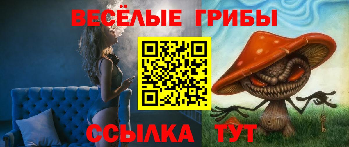 Галлюциногенные грибы мицелий  Псилоцибиновые грибы мицелий  Вход с VPN  Саранск 