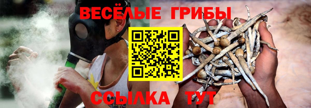 Псилоцибиновые грибы мицелий  где купить   Саранск 