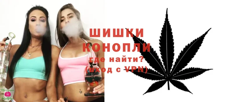 Бошки Шишки White Widow  Саранск 